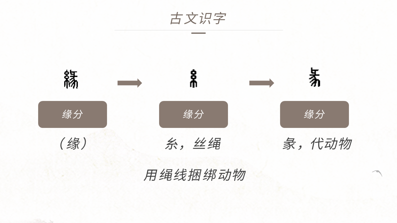 部编版小学语文课件古诗三首《题西林壁》插图5